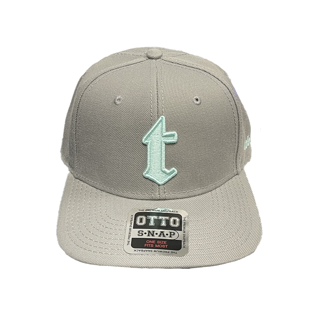 t All Grey Flat Bill