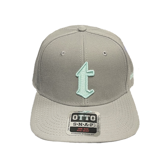 t  All Grey Flat Bill